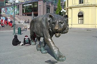 Тигр крадется по улицам Осло